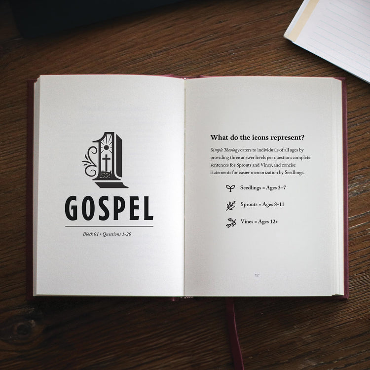 Simple Theology: A Gospel Catechism for Kids